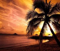 Hurghada Sunset Desert Safari